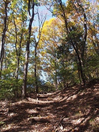 b0335256_19255514.jpg