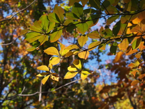 b0335256_19373187.jpg
