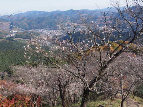 b0335256_19444672.jpg