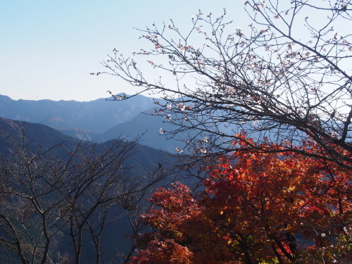 b0335256_19521560.jpg