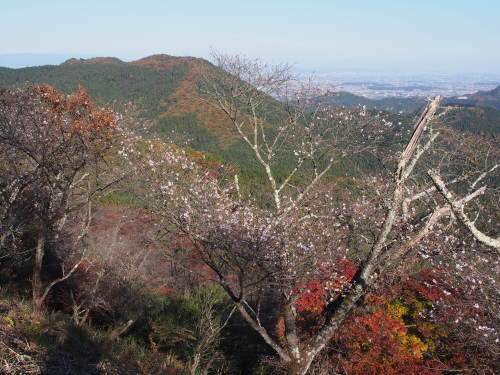b0335256_19531696.jpg