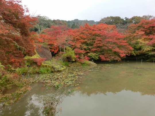 c0328559_10551357.jpg