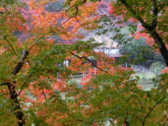c0328559_10561412.jpg