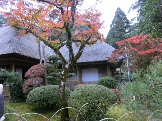 c0328559_11005197.jpg