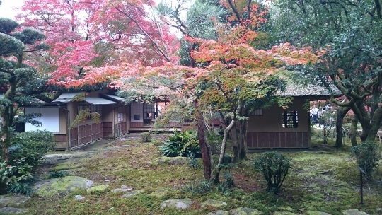 c0328559_11052753.jpg