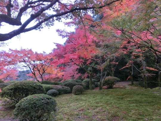 c0328559_11065753.jpg