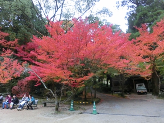 c0328559_11091799.jpg