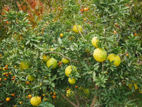 f0153475_14284910.jpg