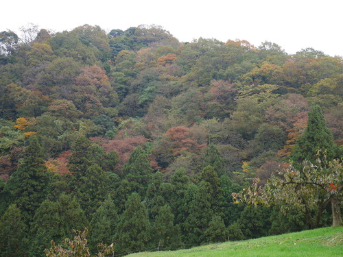 f0153475_14403033.jpg