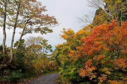 c0229483_10351579.jpg