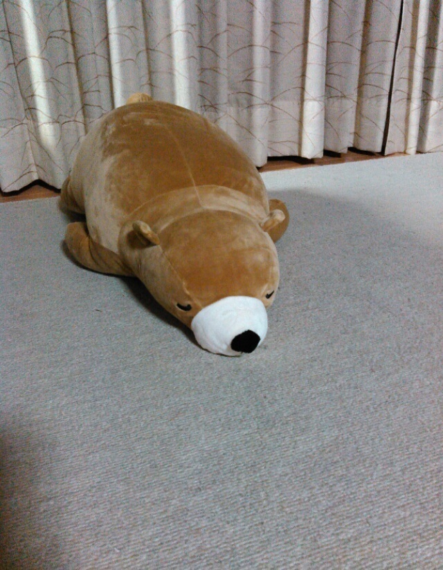 d0094986_21512529.jpg