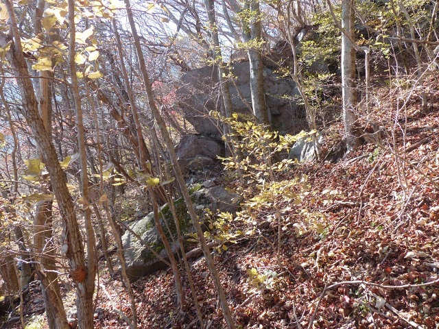f0357487_20435818.jpg