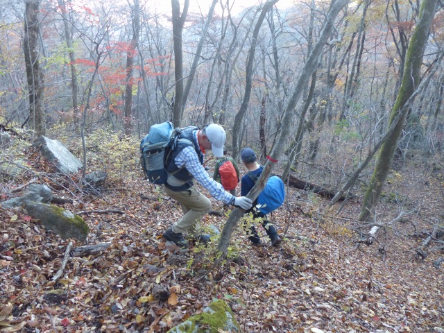 f0357487_20471664.jpg