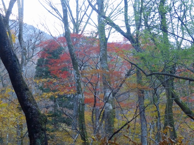 f0357487_20482097.jpg