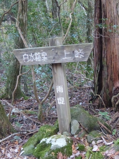 f0357487_20495823.jpg