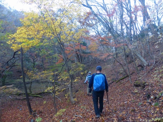 f0357487_20502878.jpg