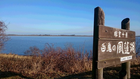 f0029393_5204194.jpg