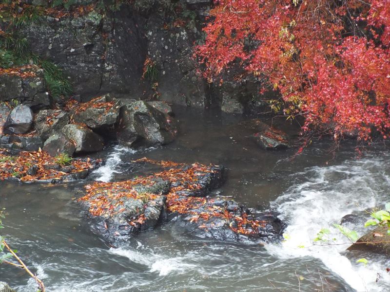 c0108198_16314618.jpg