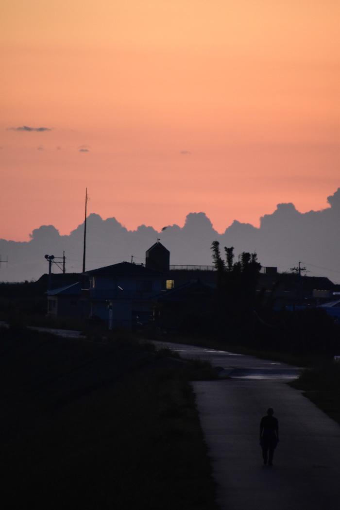 c0049299_22573944.jpg