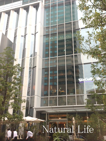 b0162000_628543.gif