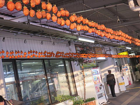 d0046702_2019078.jpg