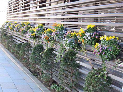 d0046702_20214973.jpg