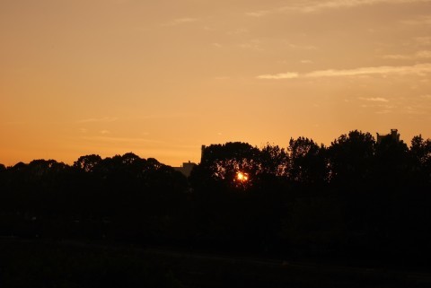 a0140305_02401185.jpg