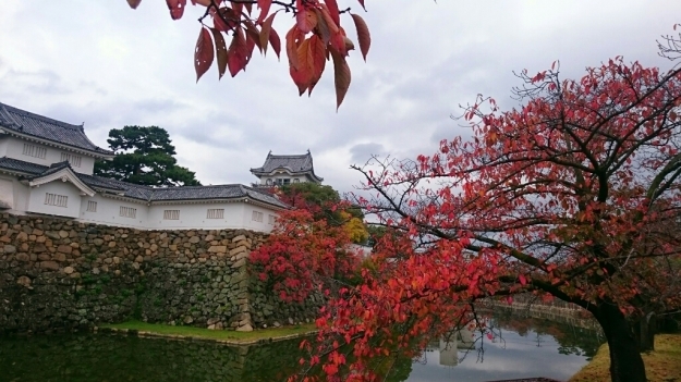 b0009106_21512203.jpg