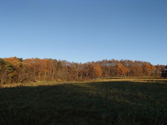 f0064906_15211615.jpg