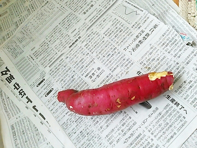 c0016208_23370454.jpg