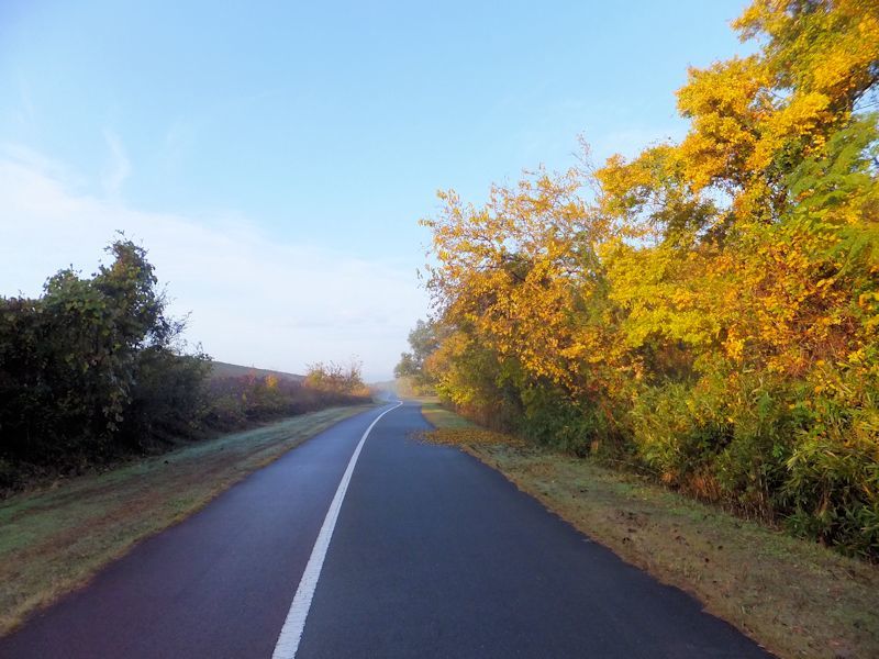 b0000209_21032818.jpg