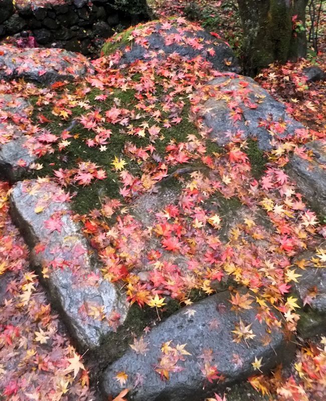 b0000209_21154930.jpg