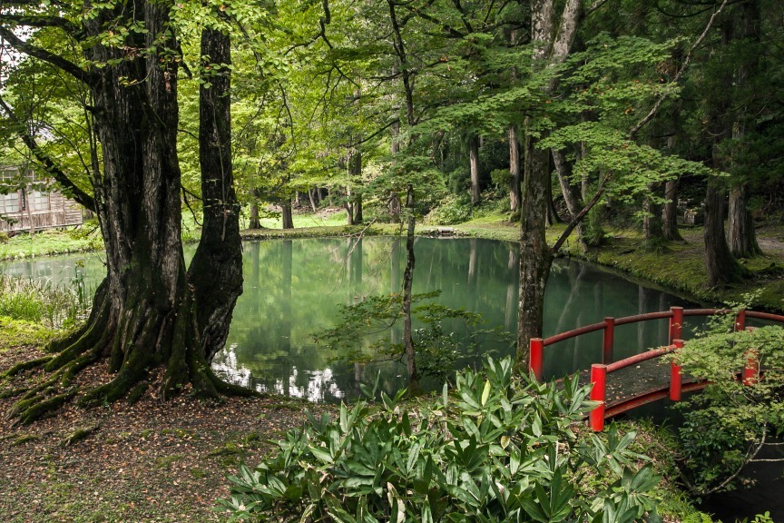 b0128609_16333666.jpg