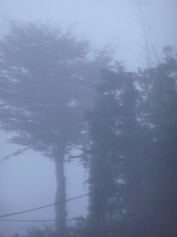 c0202113_15554422.jpg