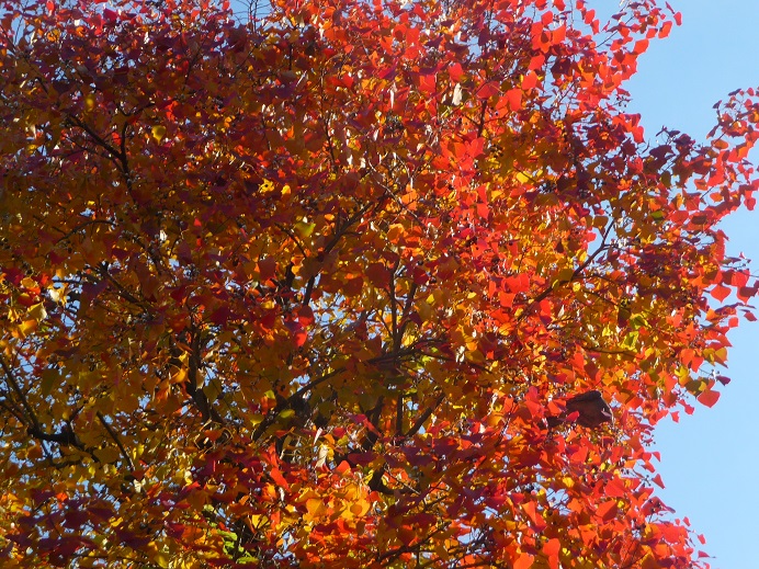 c0202113_1558303.jpg