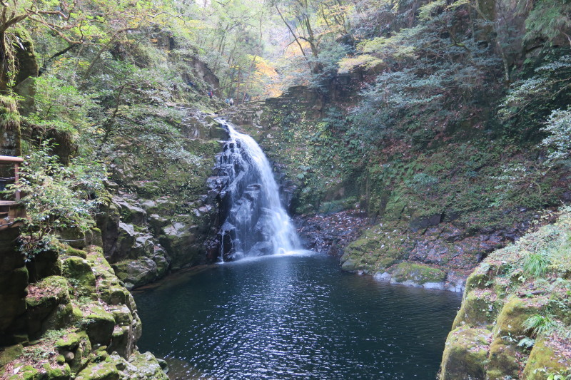 d0103314_23171420.jpg