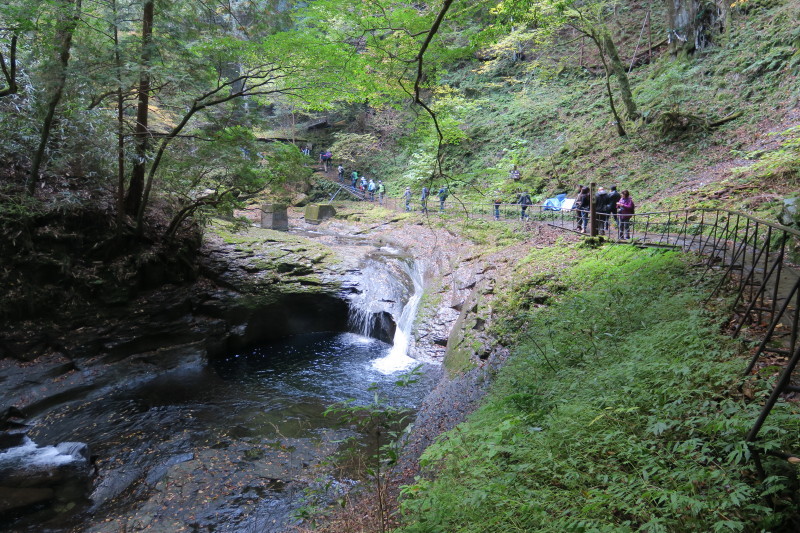d0103314_23235064.jpg