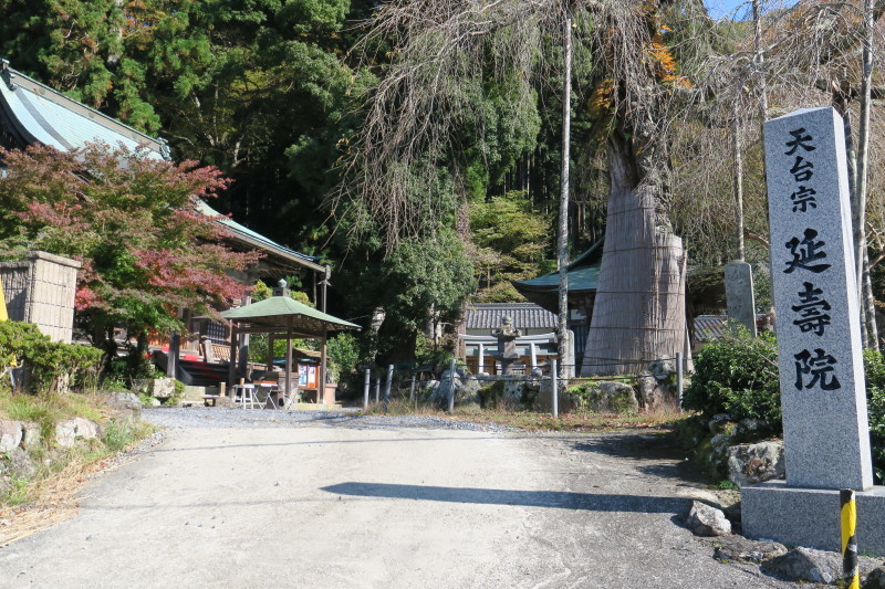 d0103314_23294278.jpg