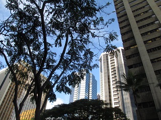 a0242019_383742.jpg
