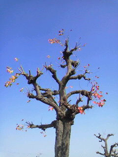 f0036223_19285523.jpg