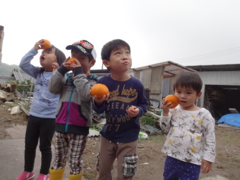 f0142733_16353551.jpg
