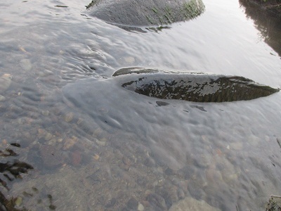 f0321433_19204736.jpg