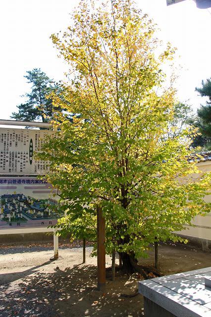 a0242438_21065966.jpg