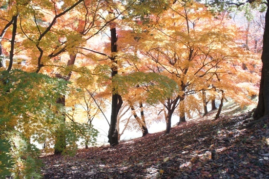 f0368538_09490479.jpg