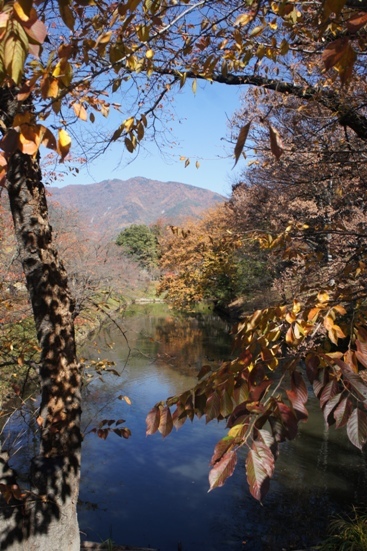 f0368538_09495569.jpg