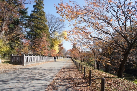 f0368538_09503255.jpg