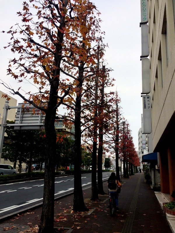 b0057140_15373849.jpg