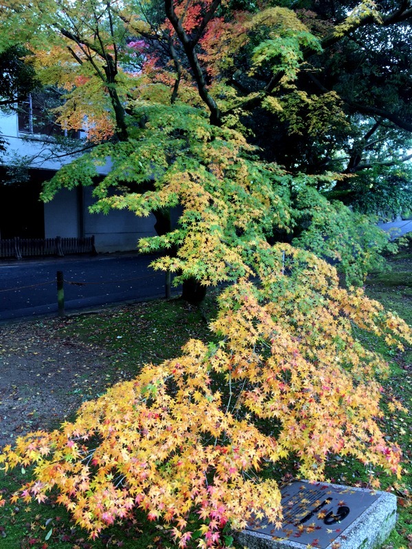 b0057140_15411765.jpg