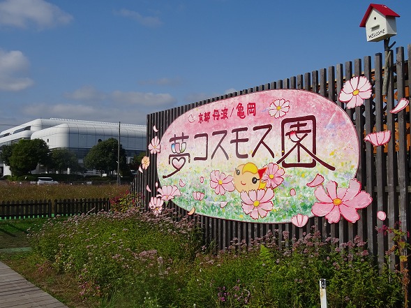 b0299042_10443131.jpg