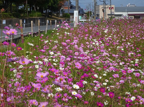b0299042_10531595.jpg